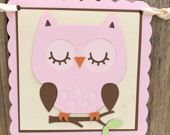 Owl Baby Girl Banner