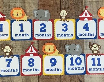 Banner del primer año del circo