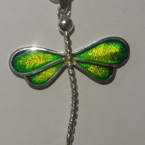 Dragonfly, silver engraved and enameled