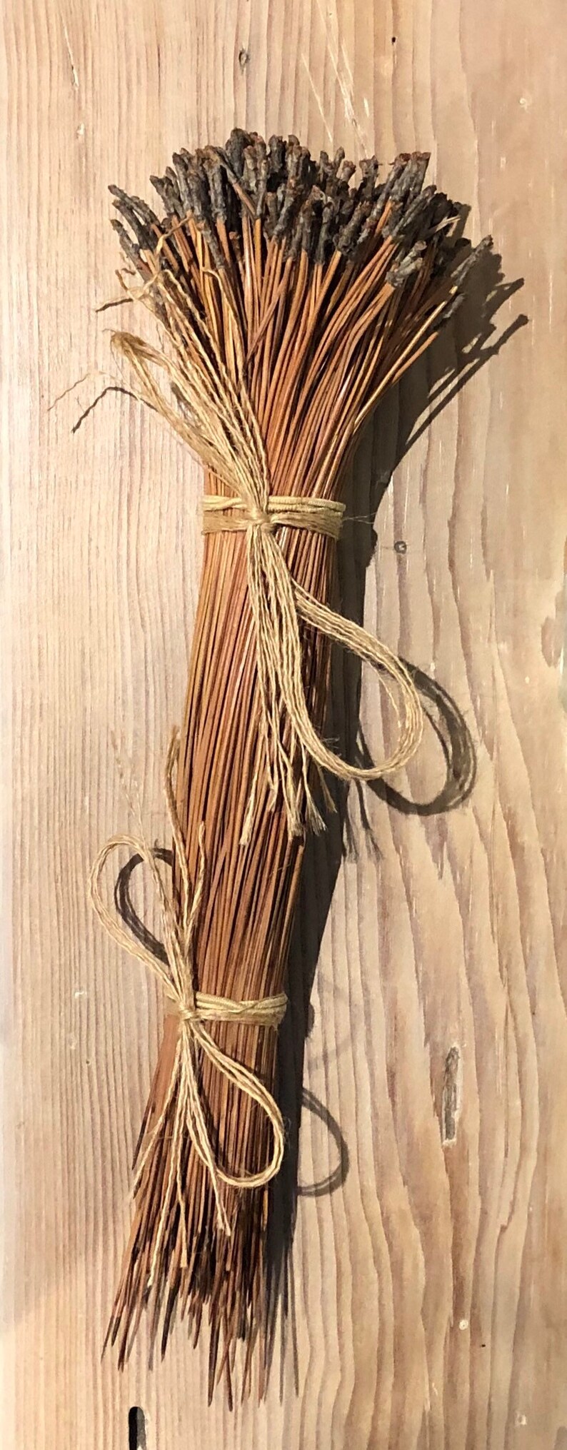 Long Leaf Pine Needles Etsy