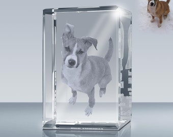 Laser Engrave Photo Crystal Rectangle,  Custom 3D Crystal Cube Gift by Goodcount, Vertical or Horizontal Position