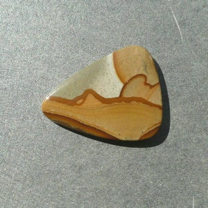 Wild Horse Picture Jasper Cabochon from the Owyhee area whpjc20