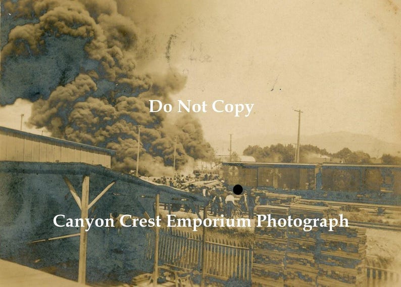 Historic 1908 Explosion Circus Elephant Riverside California Real Photo ...