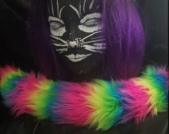 Neon Rainbow Cat Set