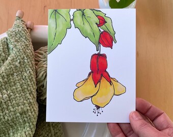 Abutilon Flower Greeting Card/Botanical Illustration Art/Artist Designed And Illustrated Blank Card
