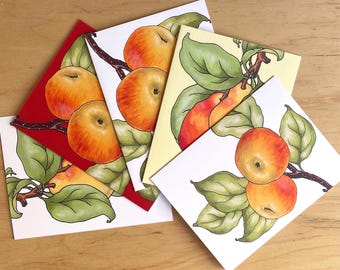 Apples and Pears Greeting Card Pack/Artist Designed and Illustrated Lucious Fruit Card Set/Botanical Art Muti-Card Pack