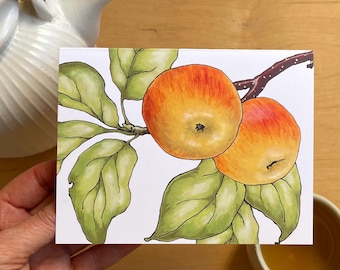 All Occasion Apples Greeting Card/Original Botanical Illustration Art/Lucious Fruit Blank Card