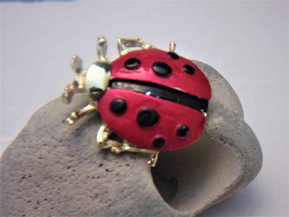 Ladybug brooch best sale