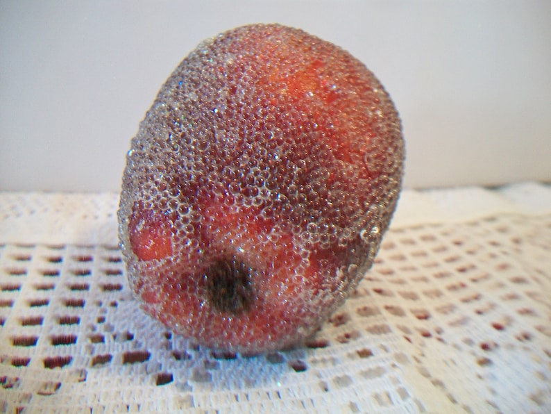 Vintage Apple Sugared Fruit Artificial Crafting Kitchen Etsy