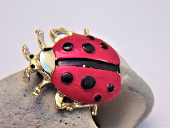 Ladybug brooch best sale pin