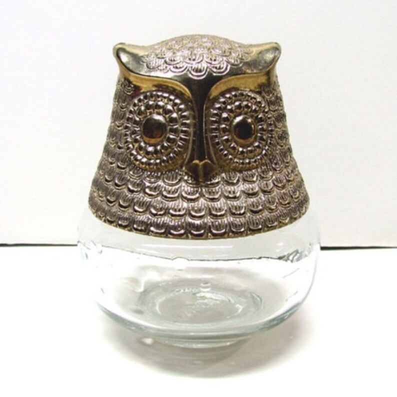Vintage Avon Owl Bottle / Decanter Figurine Glass Plastic Gold Etsy