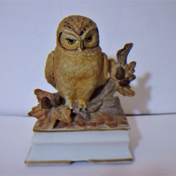 Owl Music Box Etsy