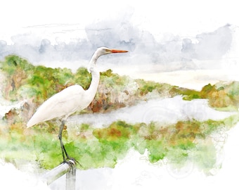 Egret on the Marsh Watercolor Print: Coastal Bird Art