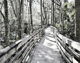 Blue Springs Boardwalk