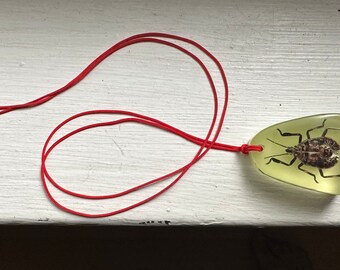 Vintage Glow In The Dark Insect Necklace On Red String