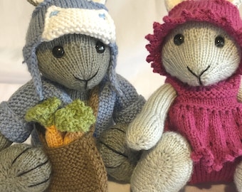 May include: Two knitted bunny toys, one wearing a blue and white hat and holding a brown bag with green and orange carrots, the other wearing a pink hat.