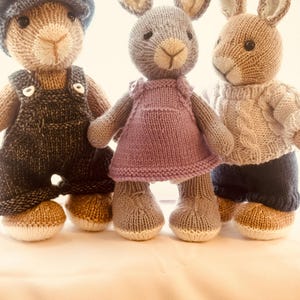 Puede incluir: Tres muñecos de conejito tejidos a mano. Los conejitos visten diferentes atuendos: una gorra azul y un peto, un vestido morado y un suéter blanco con pantalones cortos azules. Los conejitos tienen orejas largas y están de pie.