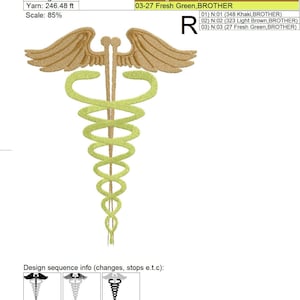 Acupuncture Wings
