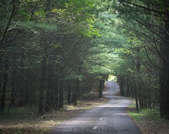 Durch die Wald - Kiefer Bäume - Natur-Dekor - Natur Wandkunst - Naturfotografie - Wald - Straße - Weg - 8 x 12 drucken