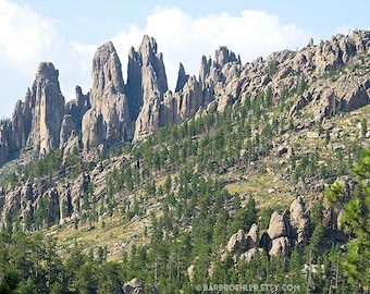 Nadeln Trail View - Custer State Park - South Dakota - Natur-Wand-Kunst - Naturfotografie - Landschaft - 8 x 12