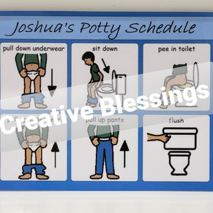 May include: A blue and white illustrated potty training chart with the title "Joshua's Potty Schedule". The chart shows a series of steps for using the toilet, including pulling down pants, sitting down, peeing in the toilet, wiping, flushing, and washing hands.