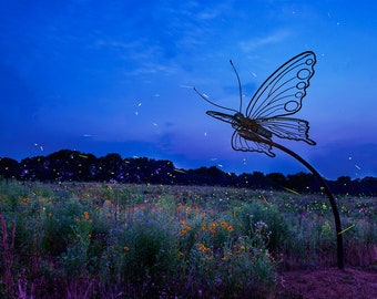 Butterfly Enchantment  - Giclee Luster Paper Fine Art Photographic Print