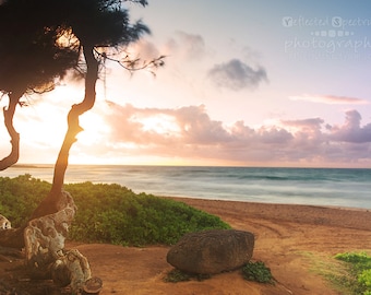 Arise - Giclee Luster Paper Fine Art Photographic Print