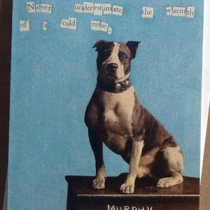 Onderschat nooit de warmte van een hond met een koude neus