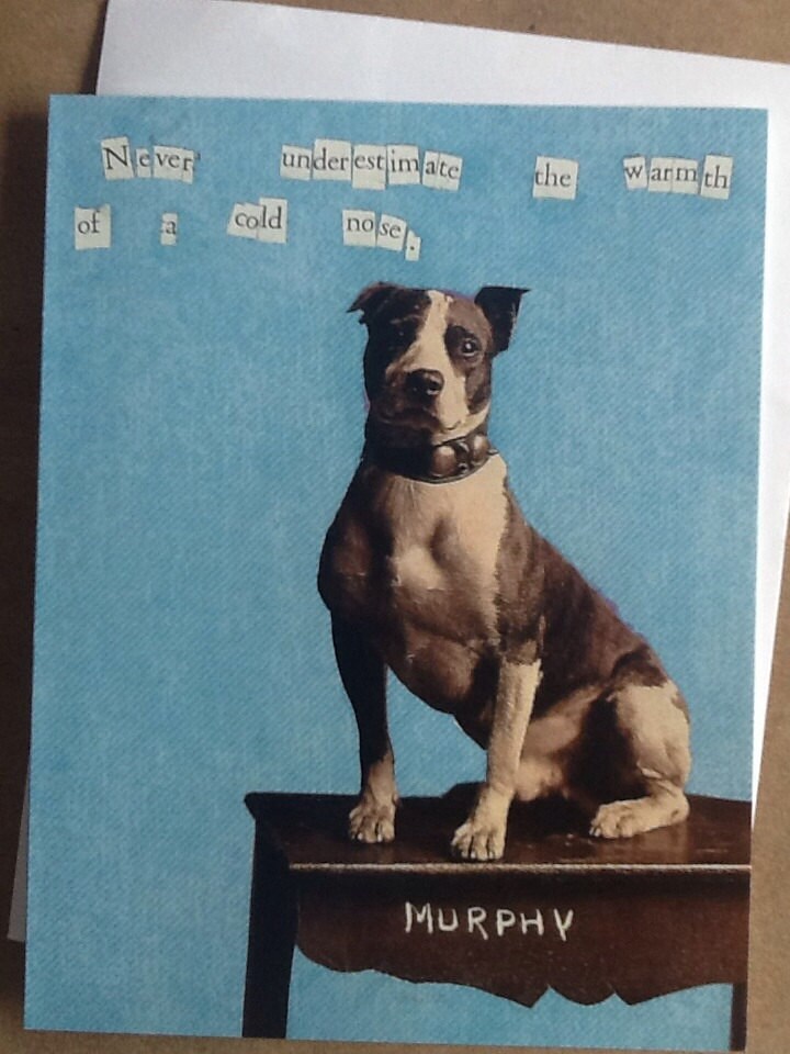 Never Underestimate the Warmth of a Cold Nose  Single Notecard Dog