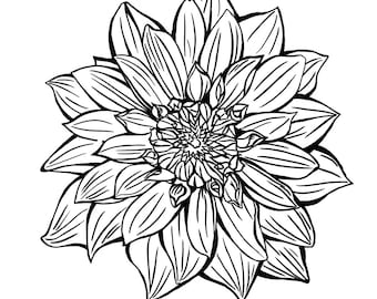 Flor