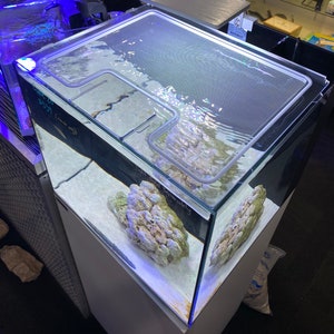 Tapa de acuario personalizada para Waterbox AIO 20 Cube / Cubierta de policarbonato transparente con puerta de alimentación y malla superior / Tapa de acuario de arrecife sin borde