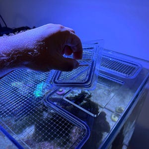 Puede incluir: Un acuario rectangular transparente con una parte superior de malla y una tapa transparente extraíble. El acuario contiene plantas acuáticas y rocas. La imagen está iluminada con luz azul.