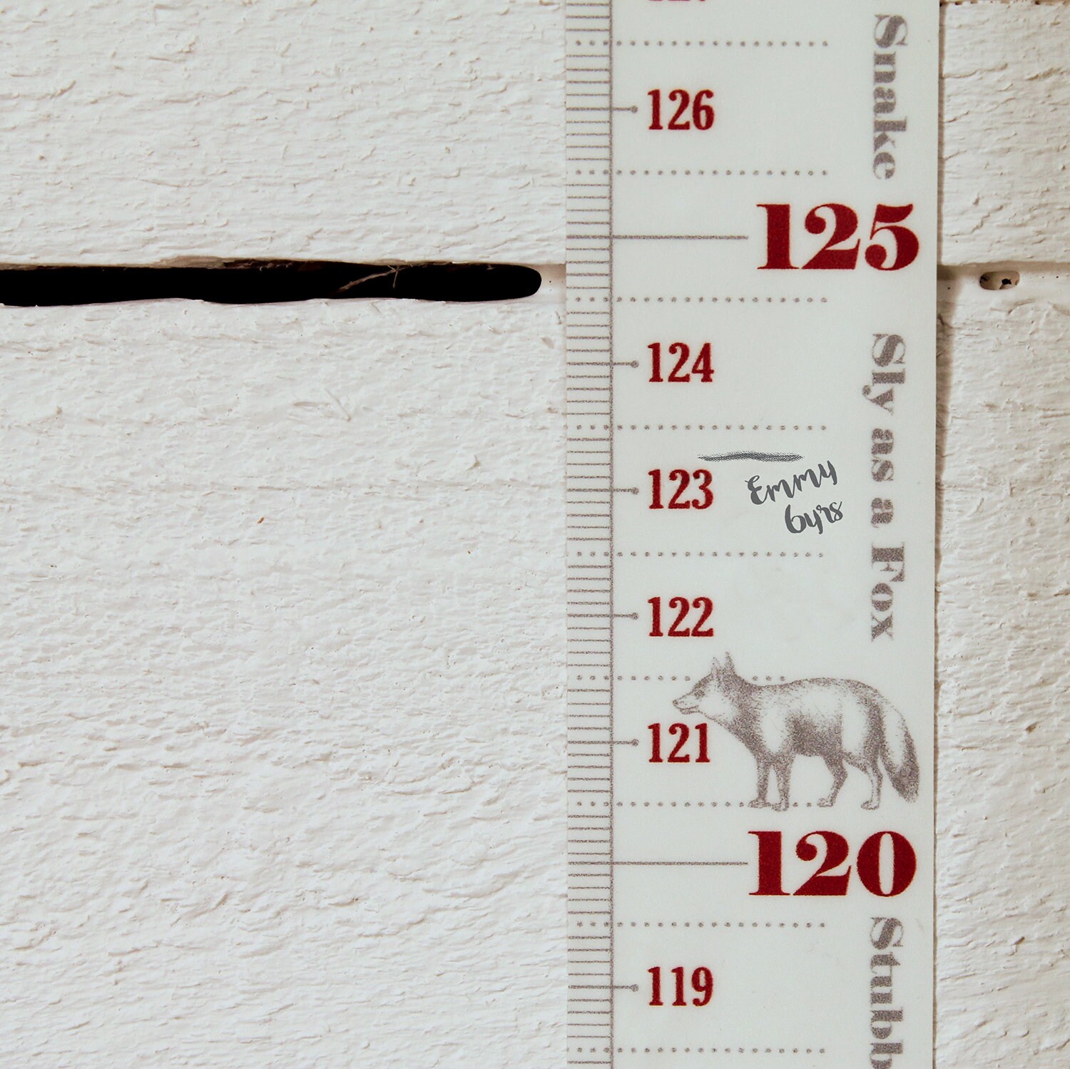 Raspberry Height Height Chart / Growth Chart - Raspberry Doorjam - Etsy