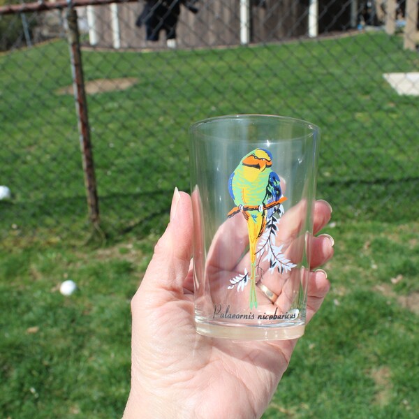 Vintage Drinking Bird Etsy