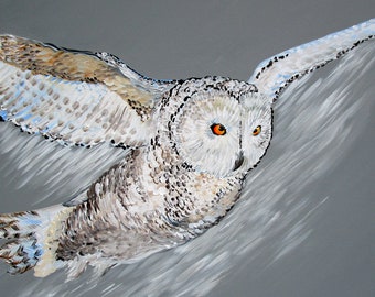 painting of an owl, owl art, owl painting, owl paintings, grey painting, grey paintings, grey art, gray art,hamptons art, hamptons,76cmx76cm