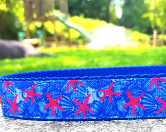 Blue and Pink Starfish 1 Inch Width Dog Collar