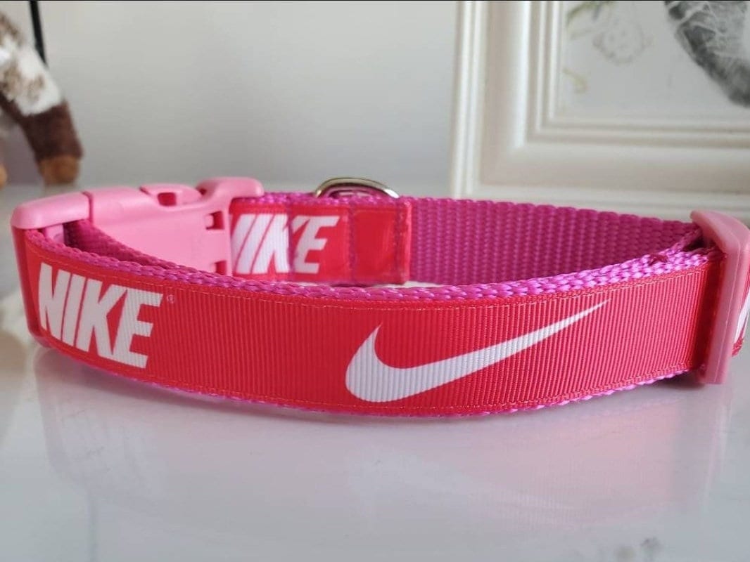 Pink 1 Inch Width Dog Collar Etsy