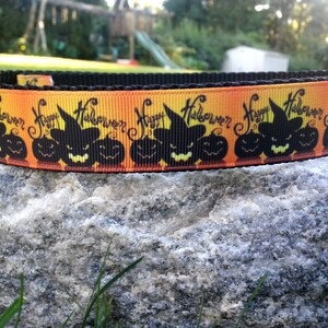 Spooky Pumpkins 1 Inch Width Dog Collar