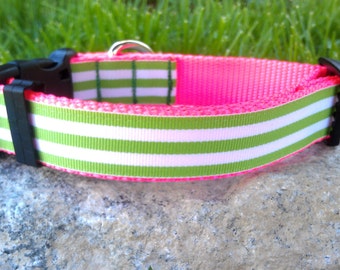 Neon Watermelon Stripe Dog Collar