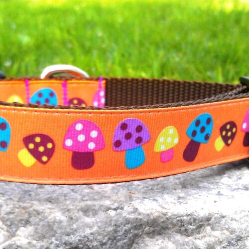 Anime Cuties 1 Inch Width Dog Collar Etsy