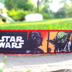 S W 1 Inch Width Dog Collar