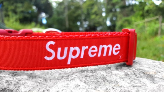 supreme dog collar and leash