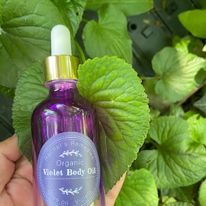 May include: A purple glass bottle with a gold dropper cap containing body oil. The round label reads Rachel's Remedies Organic Violet Body Oil Olive oil Violets. The bottle is held against a background of large green leaves.