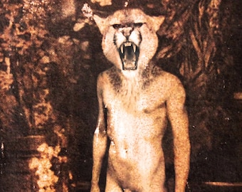 Wall art erotic - Bestialities: Cougar - Totem Animal - Beast - LGBTQ