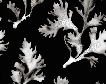 DARK TIDE Collection