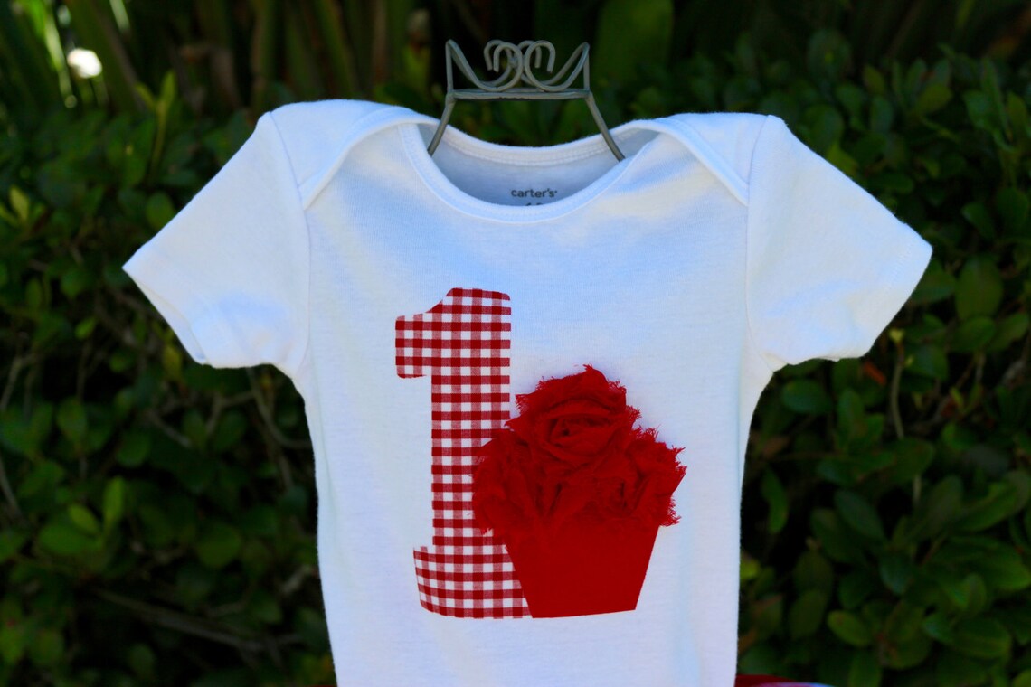 Picnic Baby Girl 1st Birthday Outfitshirt W/ Gingham Age Etsy