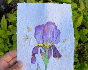 Purple iris on hand made paper