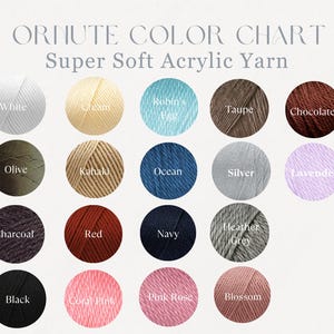 May include: Color chart of Ornate Super Soft Acrylic Yarn. The chart displays 18 yarn colors, including white, cream, robin's egg, taupe, chocolate, olive, khaki, ocean, silver, lavender, charcoal, red, navy, heather grey, black, coral pink, pink rose, and blossom.