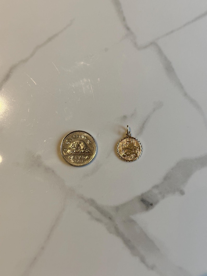 Puede incluir: Un colgante dorado con un peque&ntilde;o lazo para una cadena junto a una moneda canadiense. El colgante es redondo con un dise&ntilde;o detallado. La moneda tambi&eacute;n es dorada y tiene texto y un dise&ntilde;o.