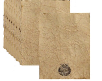 Ocean Shell - Antiqued Paper - 10 Sheets